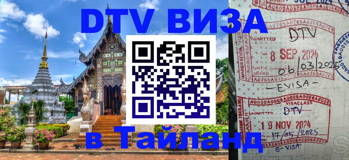 Сколько стоит DTV виза — актуальные цены, оформление даже без документов - Петропавловск-Камчатский 